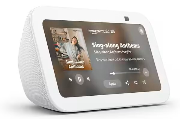 Amazon Echo / Google Home (Voice Control Hub)