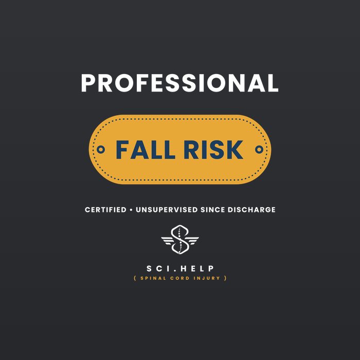 Black shirt design of a hospital wristband reading PROFESSIONAL FALL RISK — certified, unsupervised since discharge