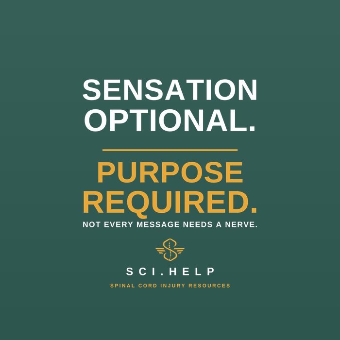 Forest green shirt design reading SENSATION OPTIONAL, PURPOSE REQUIRED